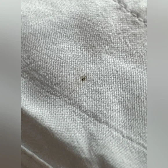 MADEWELL NWT The Signature Poplin Oversized Cotton Button-Up Shirt Size Small - Picture 5 of 10